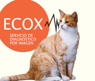 Emergency care